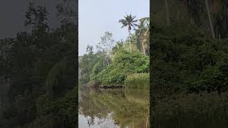 #poovarr island #kerala #viralshort #pilibhittigerreserve #india #travel #youtubeshorts #gsjattvlogs