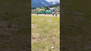 Cricket in aru valley Pahalgam #kashmir #cricket #IPL #desicricket #shots #enjoy