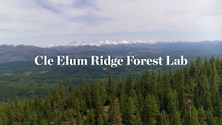 Cle Elum Ridge Forest Lab