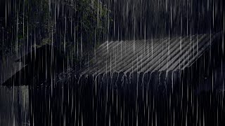 Soft Rain on Tin Roof: A Soothing Soundscape to Relieve Stress and Soothe the Mind