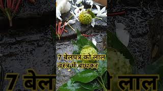 प्रदीप मिश्रा उपाय #katha