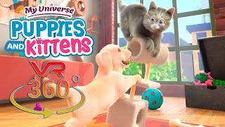 My Universe - Puppies & Kittens 360°