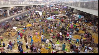 Insanely Huge Open Fresh Fruit Factory -  Agege Fruit Market!!