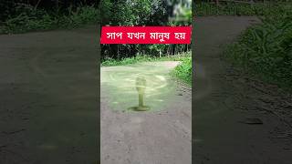 সাপ যখন মানুষ হয় | নাগীন | #snake #viralvideos #sap #shortvideos 2024