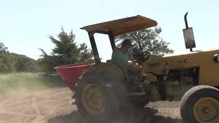 2022 Food Plots Time to Plant Conceal and Beans