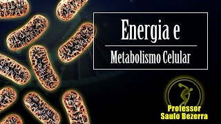 Curso de Fisiologia Humana: 04.1 - Energia e Metabolismo Celular