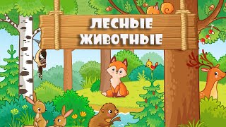 Развивающие мультики для детей про лесных животных. ТуттиМульти (TuttiMulti)