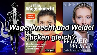 Wagenknecht und Weidel ticken gleich? Linke vs rechte Politk - ein Vergleich!