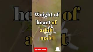 What is the weight of Heart of adult male #shorts #facts #biology #heart