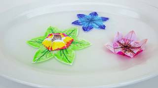 Magical Water Blossoms with Ana Dziengel