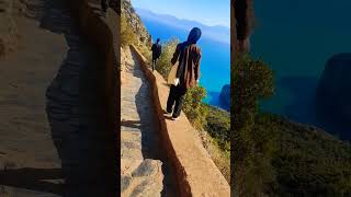 #pic_des_singes #bejaia #beautiful