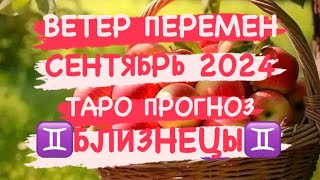 ♊️БЛИЗНЕЦЫ♊️  ВЕТЕР ПЕРЕМЕН. СЕНТЯБРЬ 2024. ТАРО ПРОГНОЗ