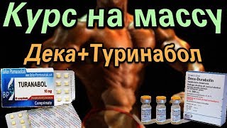 Курс для набора массы. Дека+Туринабол. ПКТ Кломид