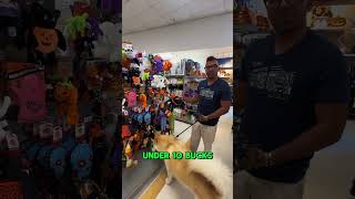 Marshall’s has got Halloween dog toys for under $10 🐶🎃 #dog #dogvideos #doglover #dogshorts