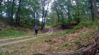 Hiking Holland - In the grand Forest of Royals, Vaassen [Sept. 2, 2017]