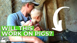 How Do You Make An Automatic Pig Waterer?