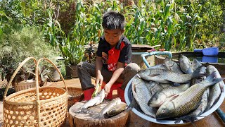 Chef Seyhak cook freshwater fish with unique skills - Yummy fish recipes - Chef Seyhak