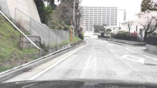 Hyper lapse: Last springs view of the cherry blossom trees on Yokosuka base.