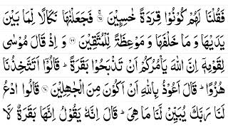 Surah Al Baqara Ayat 66 70 With Beautiful Voice