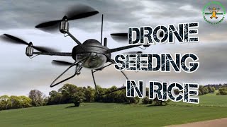 Drone Seeder | Rice Farming in the Philippines