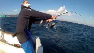 Racepoint 250 in Action with Bluefin Tuna on Topwater