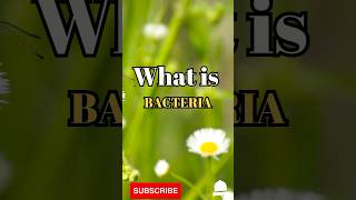 What is Bacteria #shorts #facts #biology