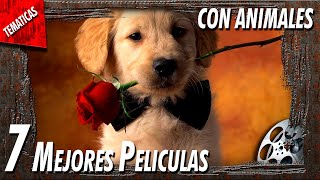 Las mejores peliculas con perros | Mascotas en el Cine