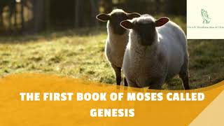 THE FIRST BOOK OF MOSES CALLED GENESIS CHAPTER 11