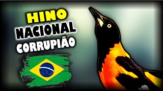 HINO NACIONAL PARA ENSINAR CORRUPIÃO - SOFRÊ - CONCRIZ [COM INTERVALO]