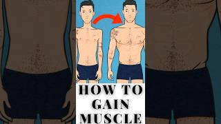 🔥How to gain muscle 💪✅ | men's fashion tips bangla#shorts#shortsfeed#mensfashion