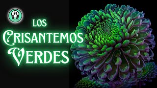 Los CRISANTEMOS VERDES | Cuentos para DORMIR | Voz Humana | Cuento CHINO en Español -Moninna cuentos