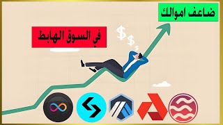 أفضل العملات الرقمية في عام 2024: أفضل الخيارات للاستثمار وكيفية تحقيق النجاح في السوق الهابط