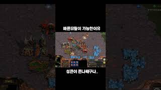 아니 글쎄 성큰이 생각보다 쌔다니까?#shorts  #shortsindia #스타 #games