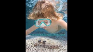 Florida Best #Snorkel Spots and Gear..Let's Go Snorkeling with Florida Scuba Divers