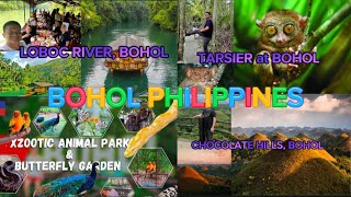 Travel Vlog: Bohol Philippines 2024