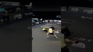 Amazing Rally #tabletennis #pingpong #shorts