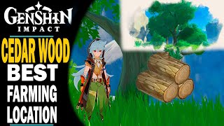 GENSHIN IMPACT - WHERE TO FIND FRAGRANT CEDAR WOOD - BEST LOCATIONS FOR FARMING!!