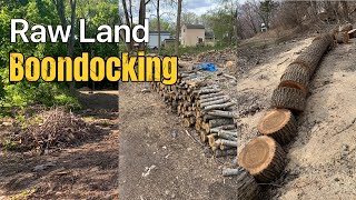 PART 1 CUTTING THE TREES || #rawland #boondocking #simpleliving