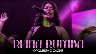 Orquesta Femenina D´cache - Reina Rumba (Homenaje Celia Cruz) | Salsa Para Bailar