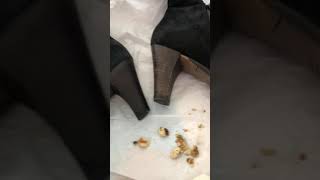 How To Restore Wood Boot Shoe Heels Scuffs Scratch Quick Fix