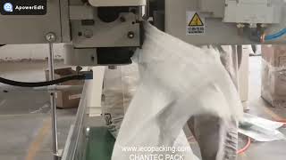 automatic sewing machine