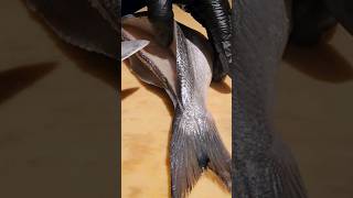 How to Fillet Seabream! #shorts #sushi #youtubeshorts