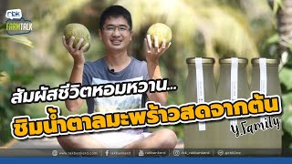 เรียนรู้เรื่องมะพร้าว กับสวนมะพร้าวอินทรีย์  Y.Farmily [ Rakbankerd | รักบ้านเกิด ]