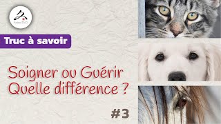 # 3 - Soigner ou Guérir, quelle différence ? La spécificité de la Médecine Chinoise pour animaux