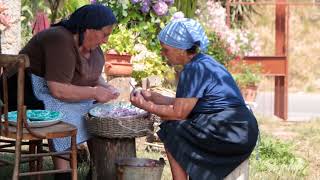 Du ranu 'o pani - Dal grano al pane