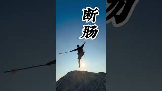 少林奪命十三槍，壹點寒茫先到，隨後槍出如龍#少林 #kungfu #shorts