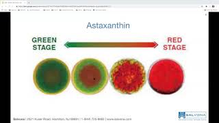 The Power of MultiSal® Asta