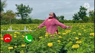 New Ringtone | Mp3 Ringtone | Hindi Ringtone|| caller tune | romantic ringtone | #ringtone