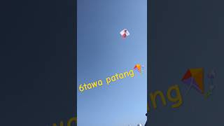 big kite flying 😱🪁6tawa kite #bigkite #shortsfeed #kiteflying #kitekite #shortsviral #patang #6tawa