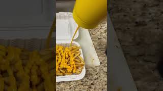 cheezy Fries #usa #ytshorts